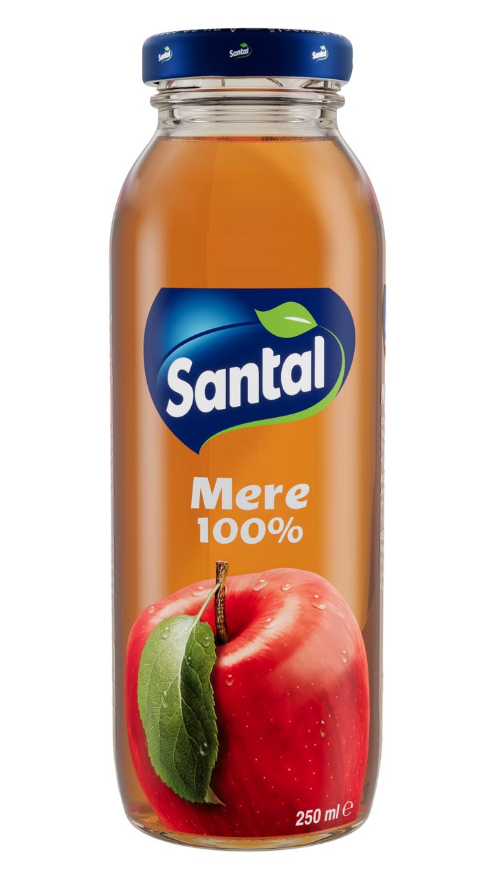 Santal Suc Mere 100% 0,25 L, 12 buc.