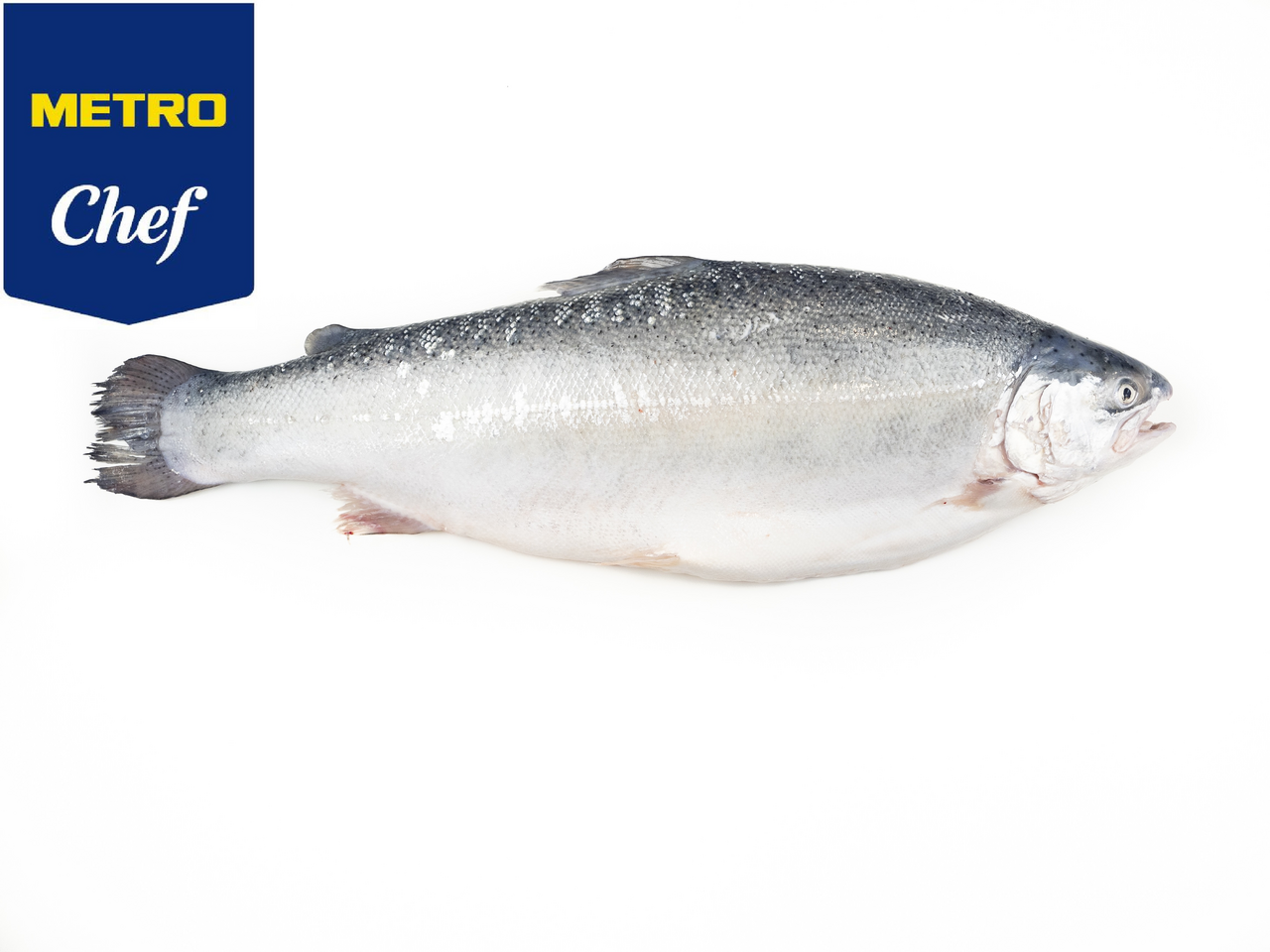 METRO Chef Pastrav Somonat de Fiord Calibru 3 - 4 Kg