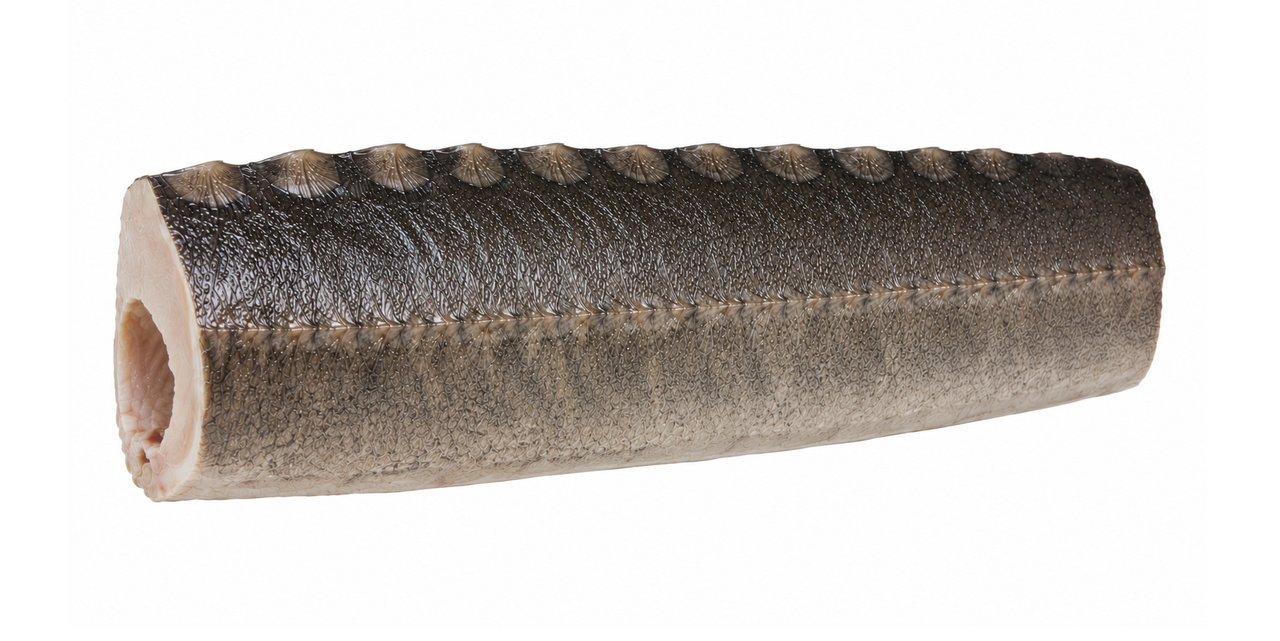 Sturion Siberian Trunchi Decongelat
