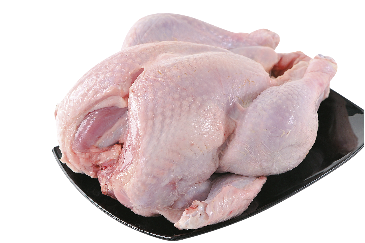 PENES Curcan Baby Grill Carcasa ?