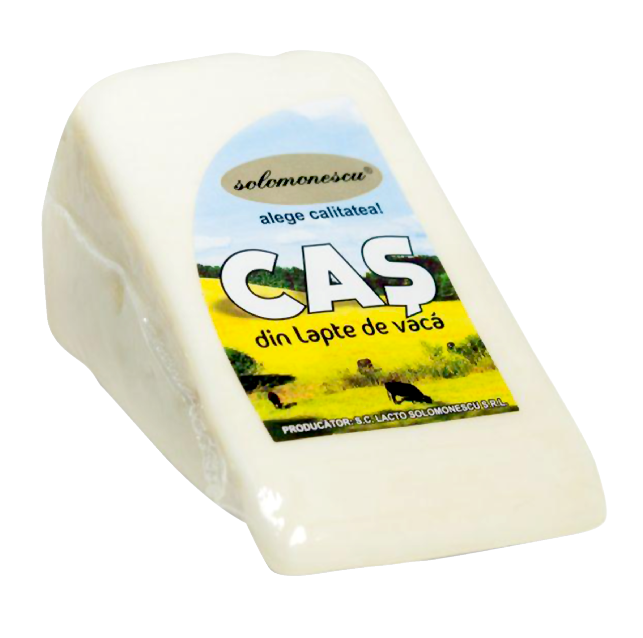 Solomonescu Cas Vaca