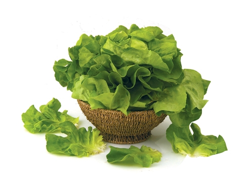 Salata puterica. Prodaje se na komad.