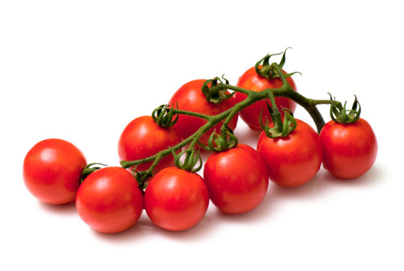 Cherry paradajz na grančici, prodaje se na kg