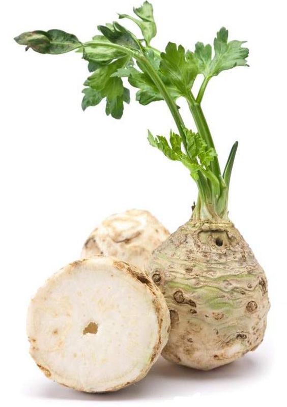 Celer koren, prodaje se na kg
