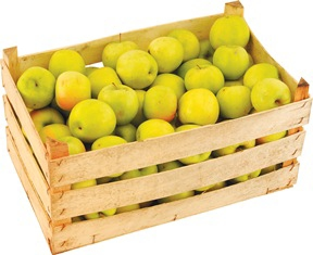 Jabuka granny smith, prodaje se na kilogram