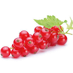 Icebreg salat centar ribizla 125 g