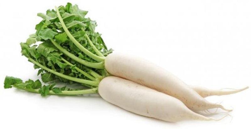 Rotkva daikon
