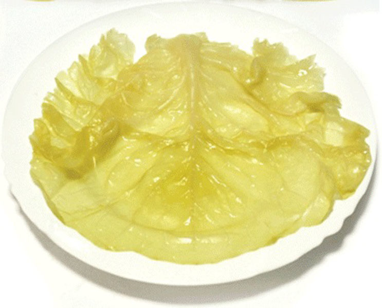 Metro kiseli kupus list