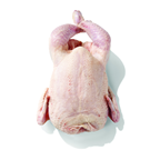 Perutnina Ptuj Gril pile tacna