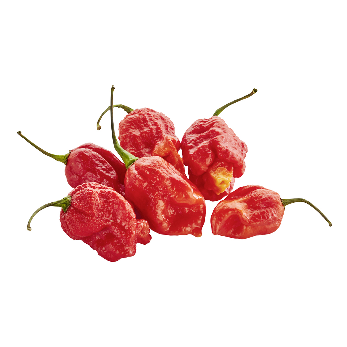 Paprika ljuta carolina reaper 50 g