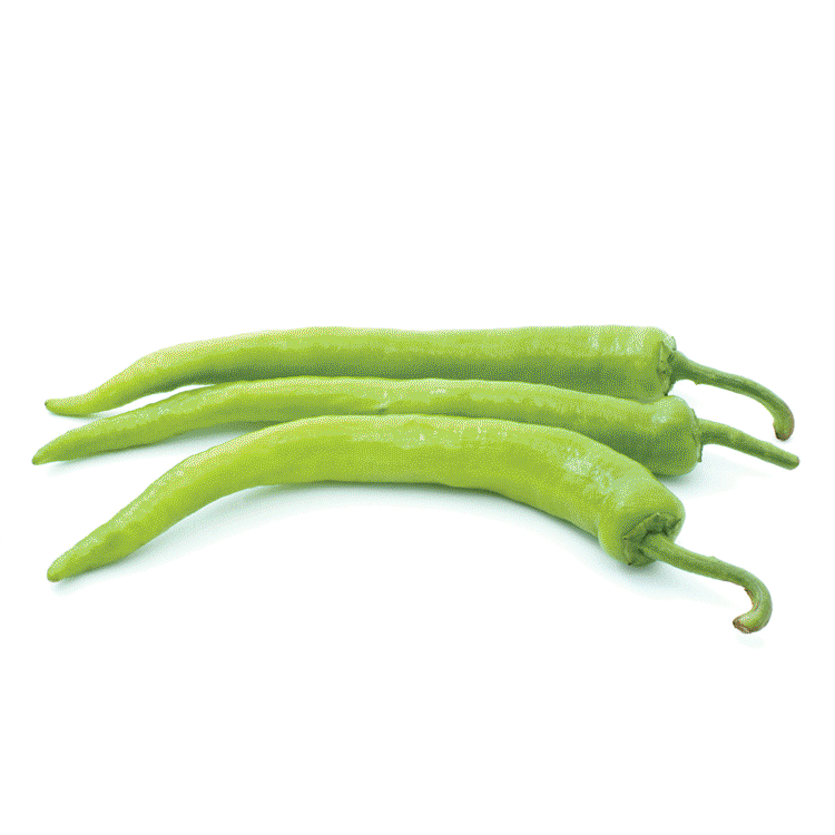 Paprika ljuta 
