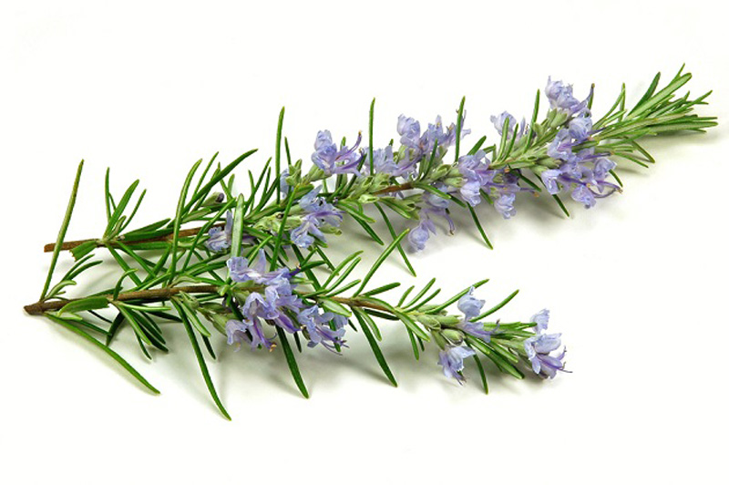 METRO Chef Ruzmarin 75 g