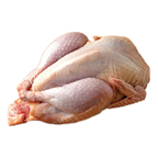 Zamrznuti fazan nimrod