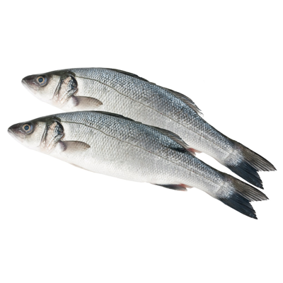 METRO Chef Brancin sveža riba, Grčka +1,5 kg