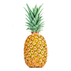 Ananas krupni kalibar 6, prodaja na komad
