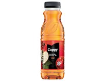Cappy 100% džús jablko 12 x 330 ml vratná PET fľaša