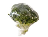 Brokolica čerstvá 1x500 g fólia