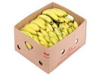Banány 18+ čerstvé 1x18,14 kg kartón