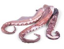Chobotnica varená chápadlá chlad. váž. cca 80-150 g