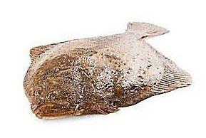 Kambala veľká chlad. váž. cca 1-1,5 kg