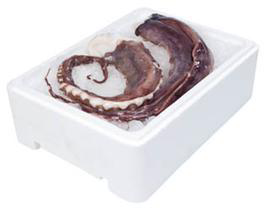 Kalmáre chápadlá chlad. váž. cca 100-800 g