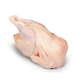 Aspius Kohút (Francúzsko) mraz. váž. cca 4 kg