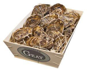 Ustrice Speciale Geay N°1 chlad. váž. cca 1,75 kg/12 ks