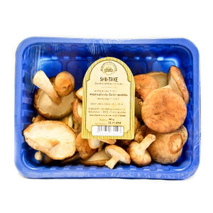 Shiitake čerstvé CZ 200 g vanička