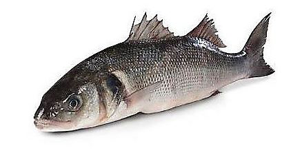 METRO Premium Morský vlk CHOR ASC chlad. váž. cca 400-600 g