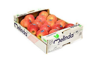 Jablká Gala I. 65/75 čerstvé 13 kg