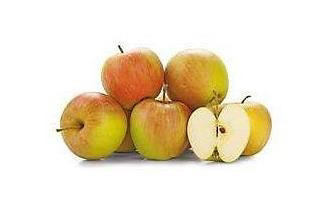 Jablká Šampion 65+ čerstvé 13 kg kartón