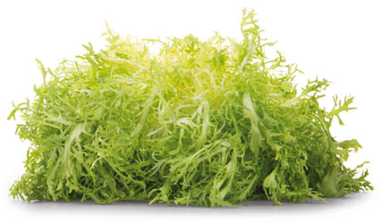 Šalát Frisee I. čerstvý 250 g