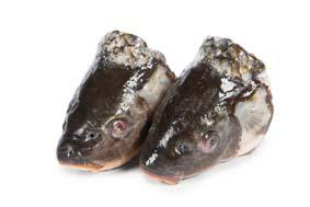 Kapor rybničný hlavy chlad. váž. cca 200-300 g