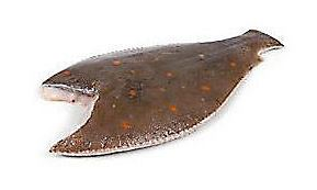 Platesa obyčajná chlad. váž. cca 600-900 g 