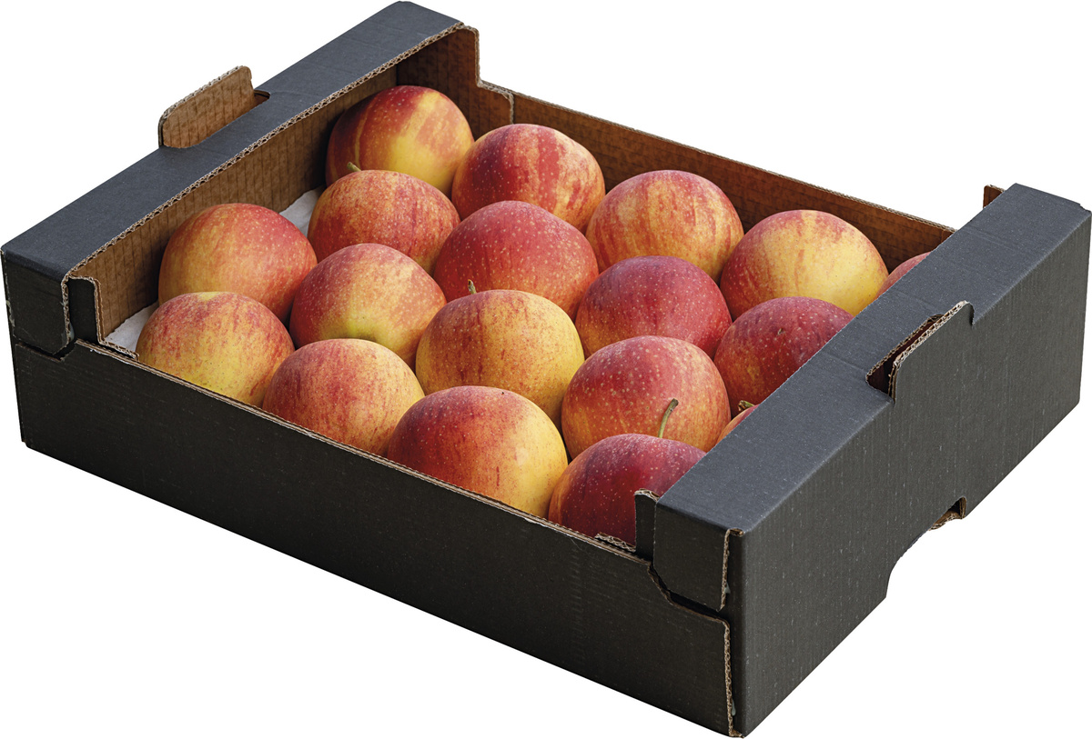 Jablká Gala 70+ I. čerstvé 3 kg