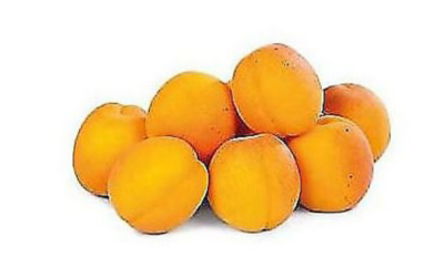 Marhule 50+ čerstvé 5 kg