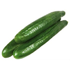 METRO Chef Uhorky hadovky 250+ CZ čerstvé 4,5 kg