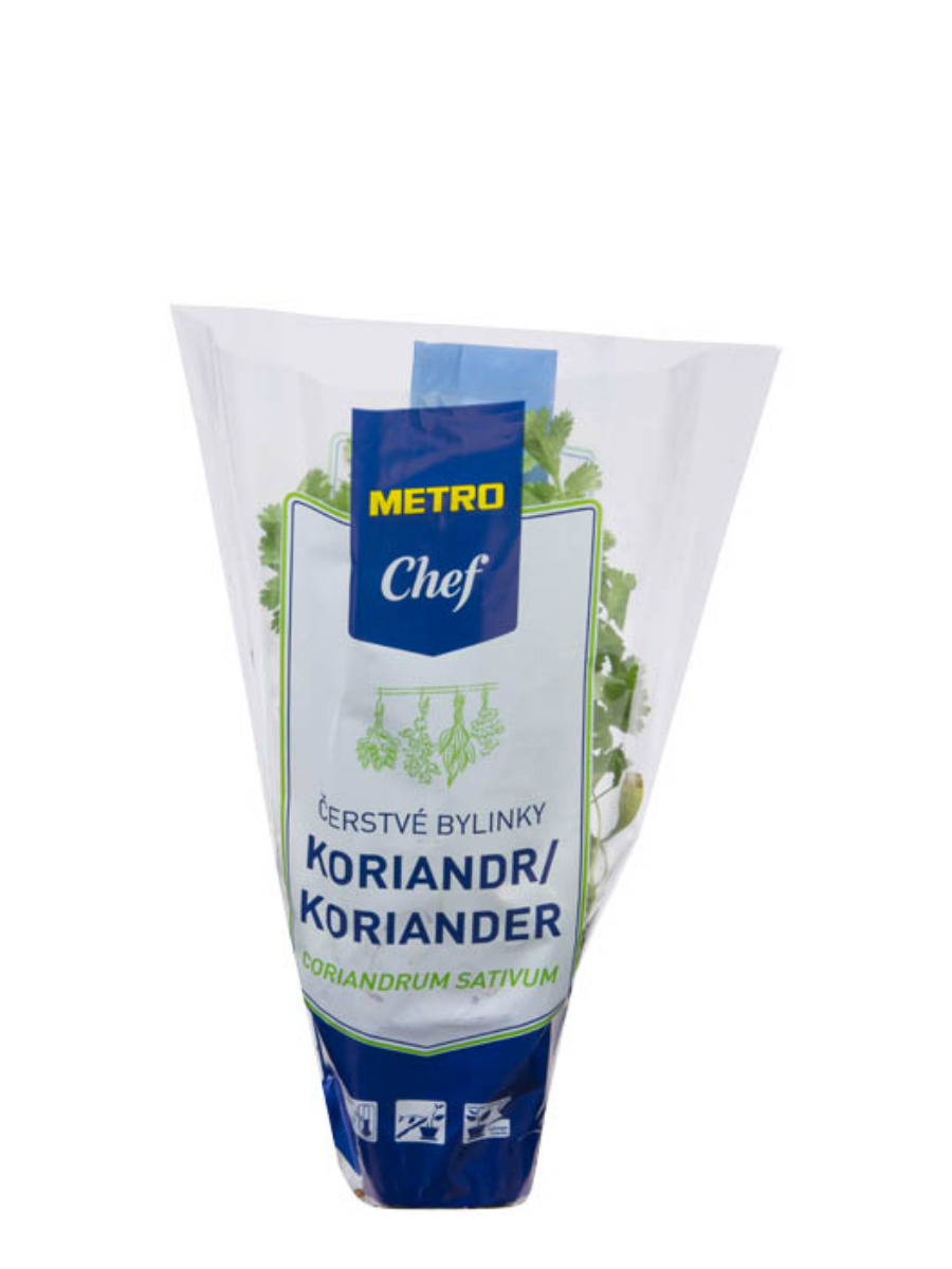 METRO Chef Koriander čerstvý 1 ks v kelímku