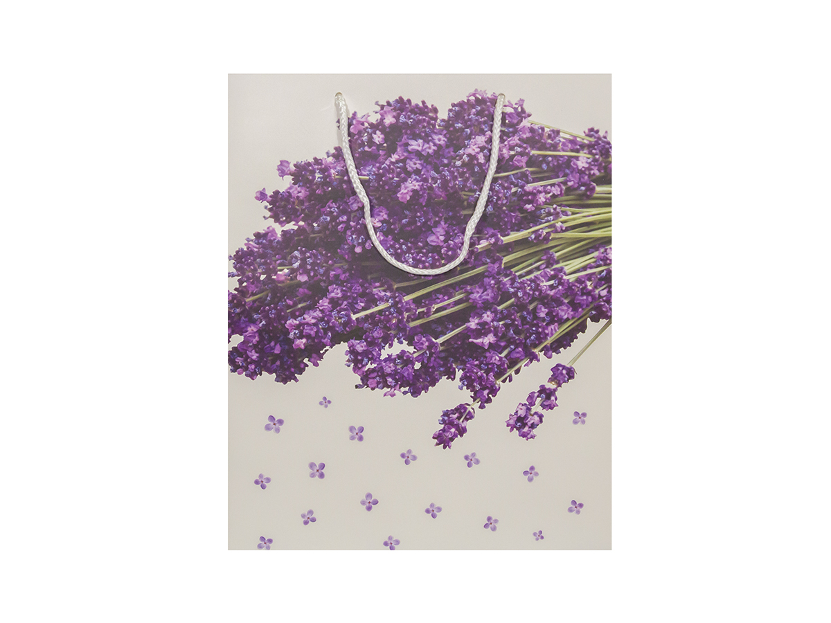 Flexio Taška na darčeky L - 209200 1 ks 