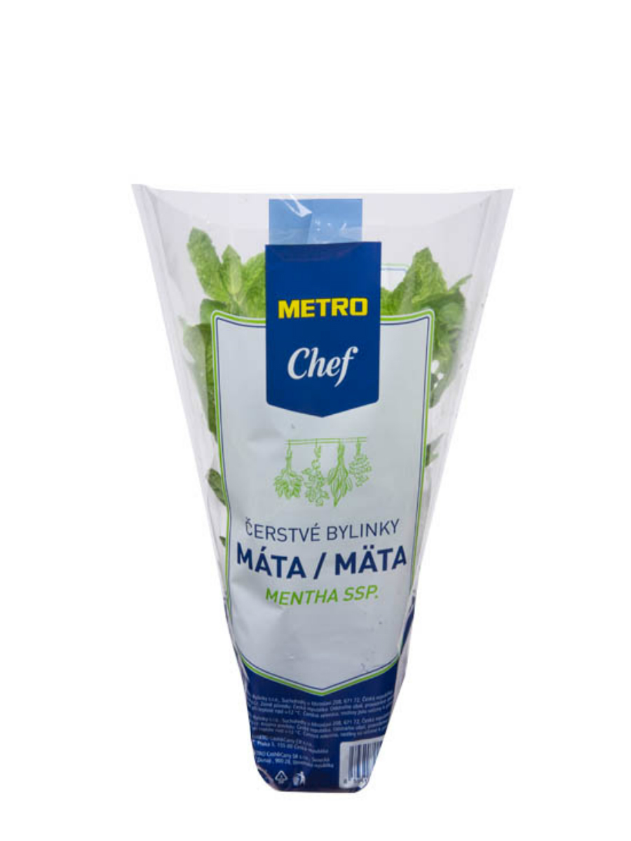 METRO Chef Mäta špicatá čerstvá 1 ks v kelímku