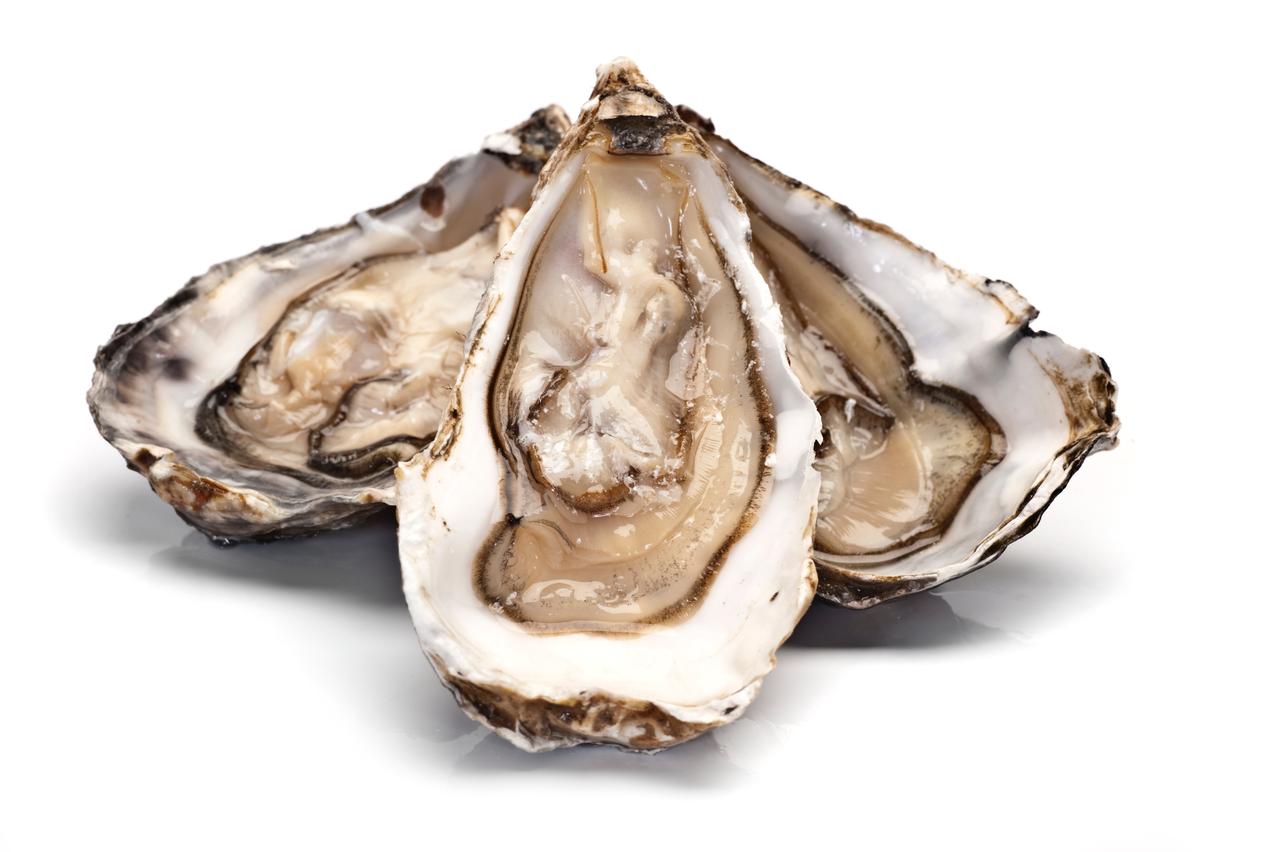 Ustrice Ostra Regal N°2 chlad. váž. 12 ks