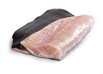 Jeseter biely filety s kožou chlad. váž. cca 1,5-2,5 kg