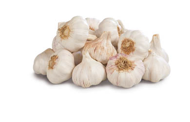 Cesnak biely 60+ SK čerstvý 5 kg