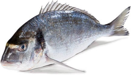 Pražma zlatá pitvaná ASC chlad. 360 g