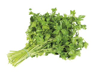 METRO Chef Petržlen hladkolistý čerstvý 100 g