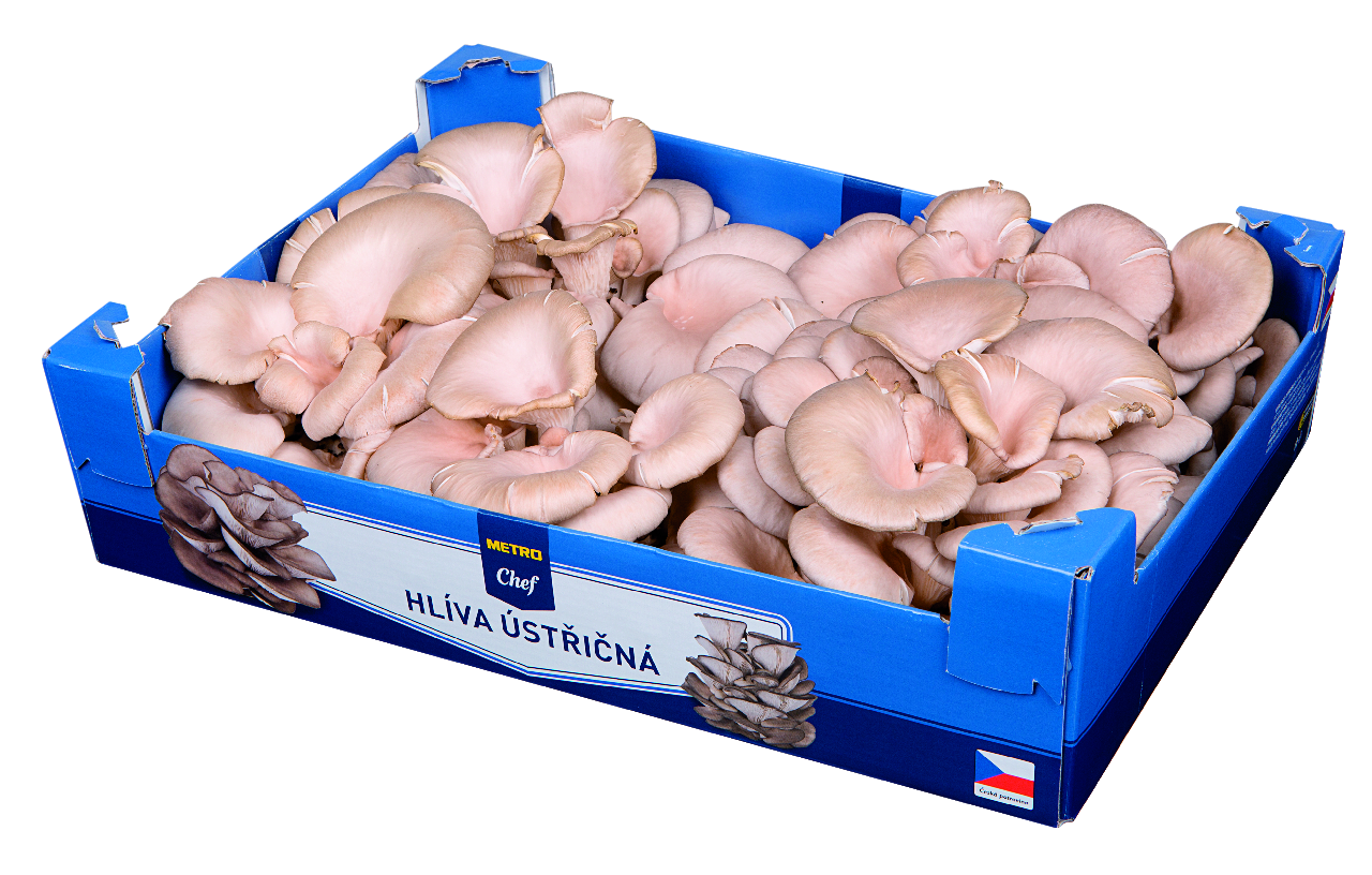 METRO Chef Hliva ustricová I. CZ čerstvá 1,5 kg