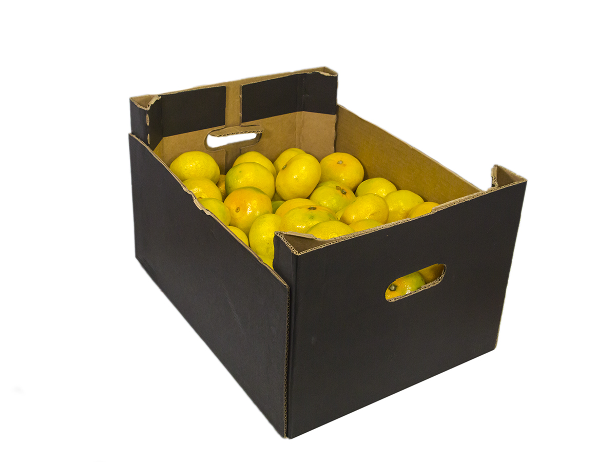 Mandarínky Tango/ Nadorcot 1/3 čerstvé 10 kg