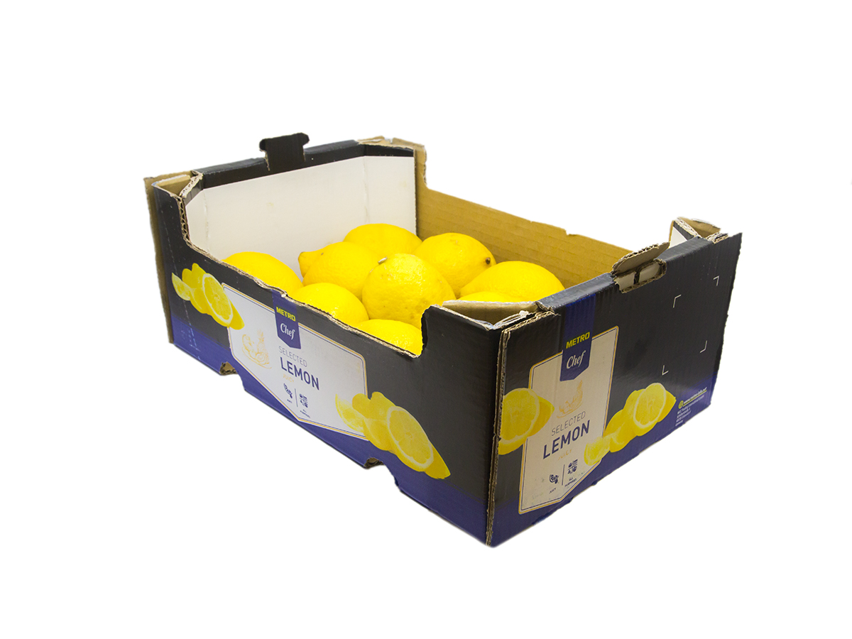 METRO Chef Citróny Primofiori/ Verna 4/5 I. čerstvé 2,3 kg