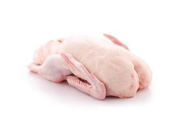 Kačica s drobkami mraz. 2,4 kg