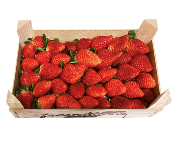Jahody I. čerstvé 1 kg kartón
